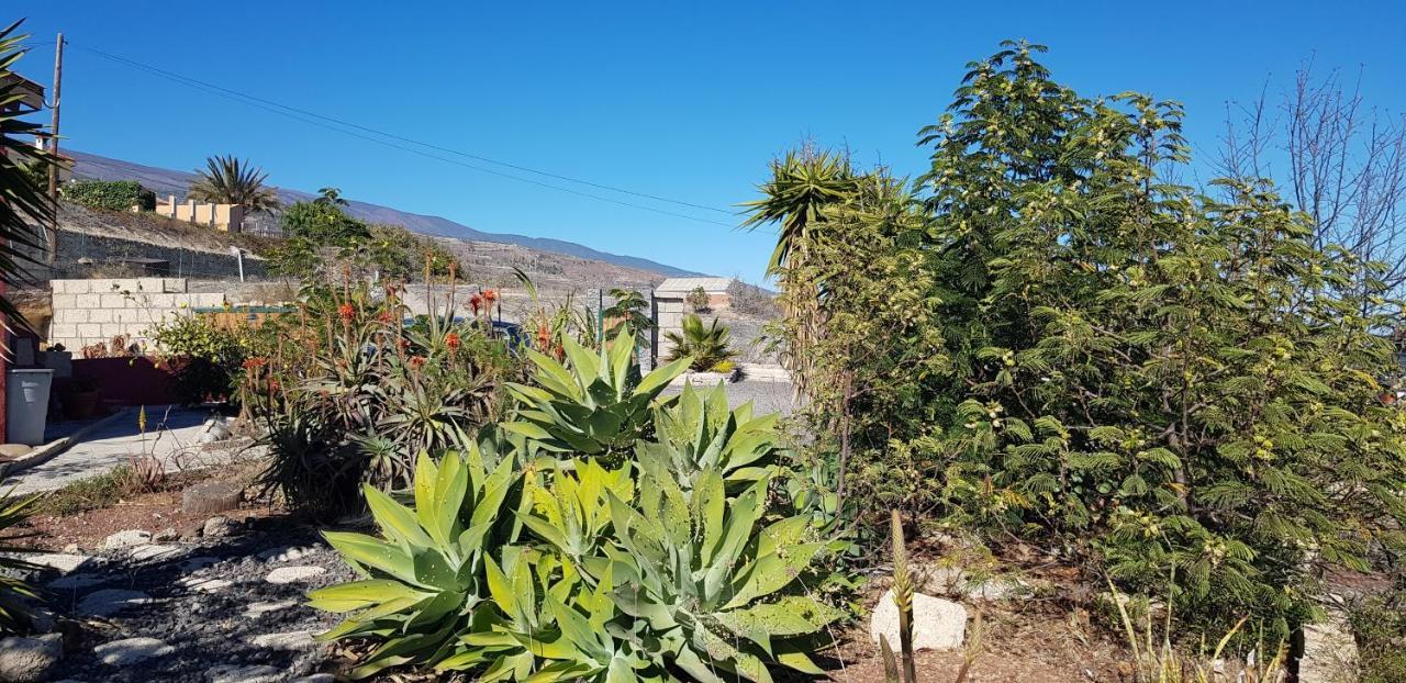 Alojamiento Unico Y Tranquilo Arico Con Fibra Optica Extérieur photo